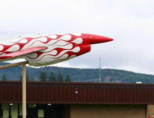 District Newsletter -January 2025 Edition