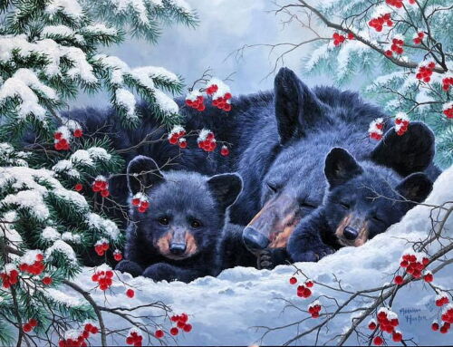 District Newsletter -December 2025 Edition