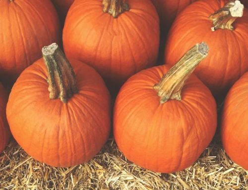 District Newsletter -October 2026 Edition